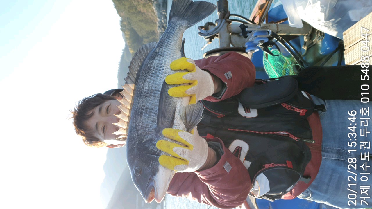 이수도 감성돔 두리호 ᆢ53센치ᆢ