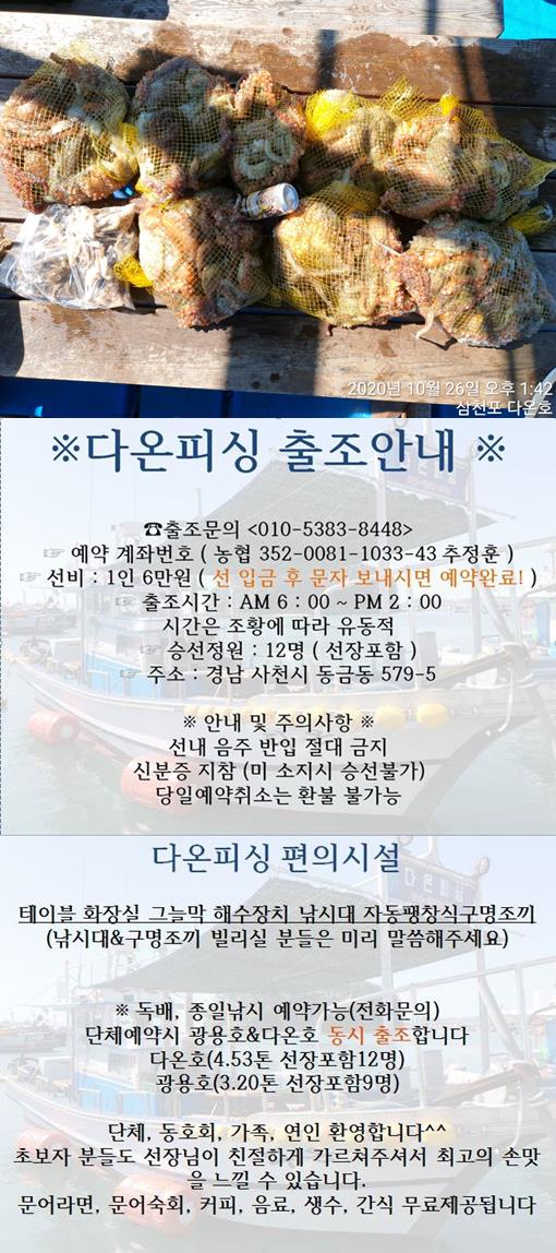 ## 다온호 돌문어 마리수 조황 !!