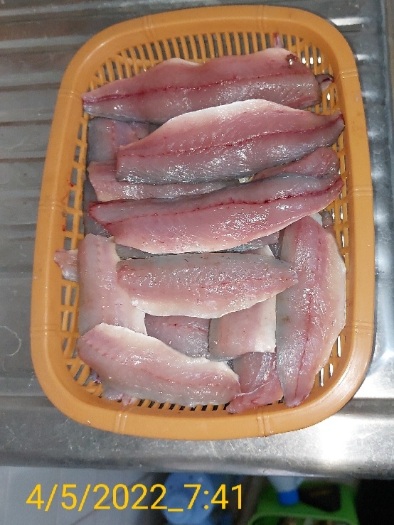용호동 생활낚시 조황