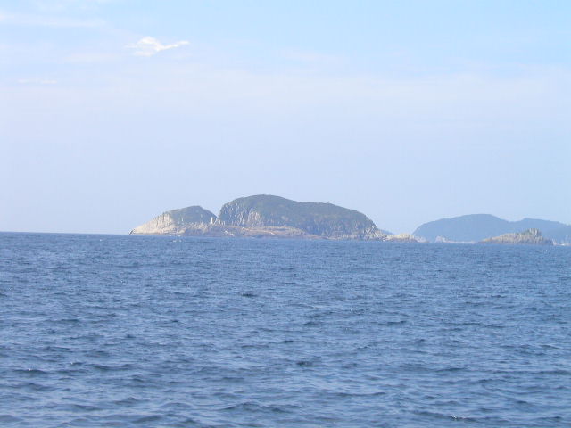 대삼부도