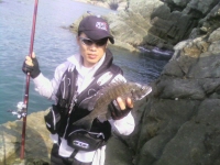 ȸ������