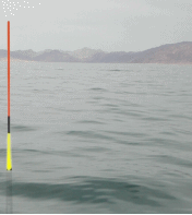 ȸ������