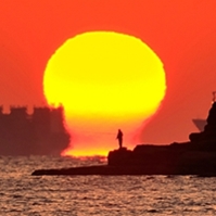 ȸ������