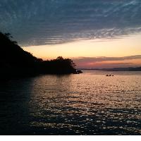 ȸ������