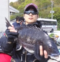 ȸ������