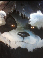 ȸ������