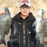 ȸ������