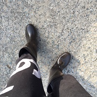 ȸ������