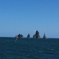 ȸ������