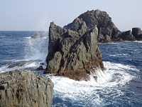 ȸ������