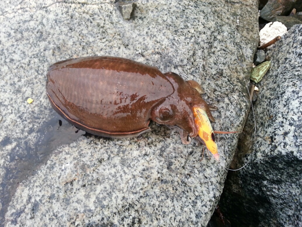 진해 갑이 입니다.